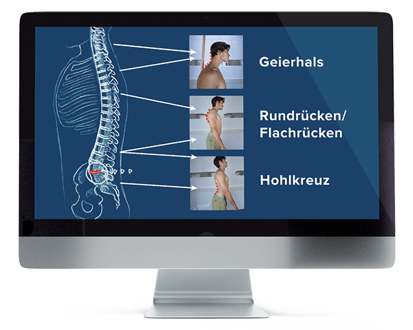 geierhals-monitor